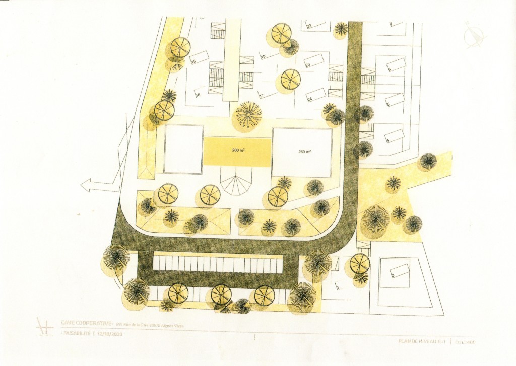 Photo 3 : Projet aménagement Cave coopérative Aigues-Vives (Gard) Plan de niveau R +1